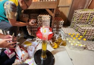 Tera ulang minyakita