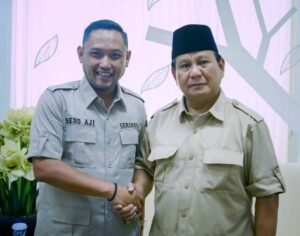 Wagub Seno