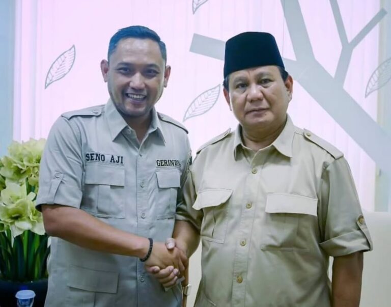 Wagub Seno