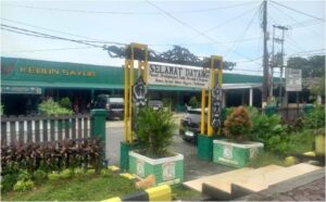 kebun sayur
