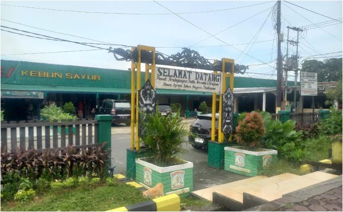 kebun sayur