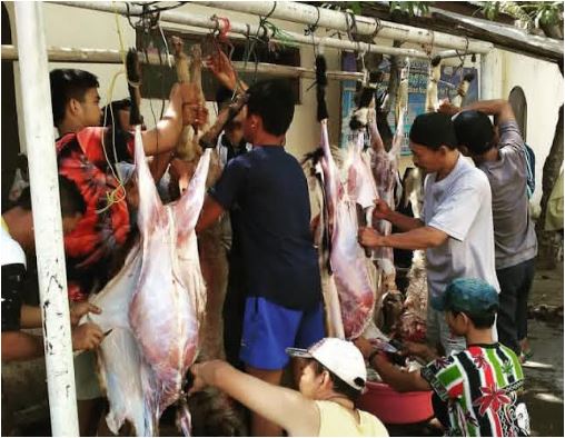 Proses pembagian daging di salah satu RT di Balikpapan. Berlangsung tertib.(Foto: smartrt.news/rama)