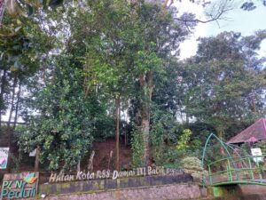Hutan Kota Kawasan RSS Damai III Balikpapan (foto : Wikimedia Commons)