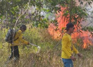 Kebakaran hutan dan lahan (kahutla) (foto : Diskominfo Kalsel)